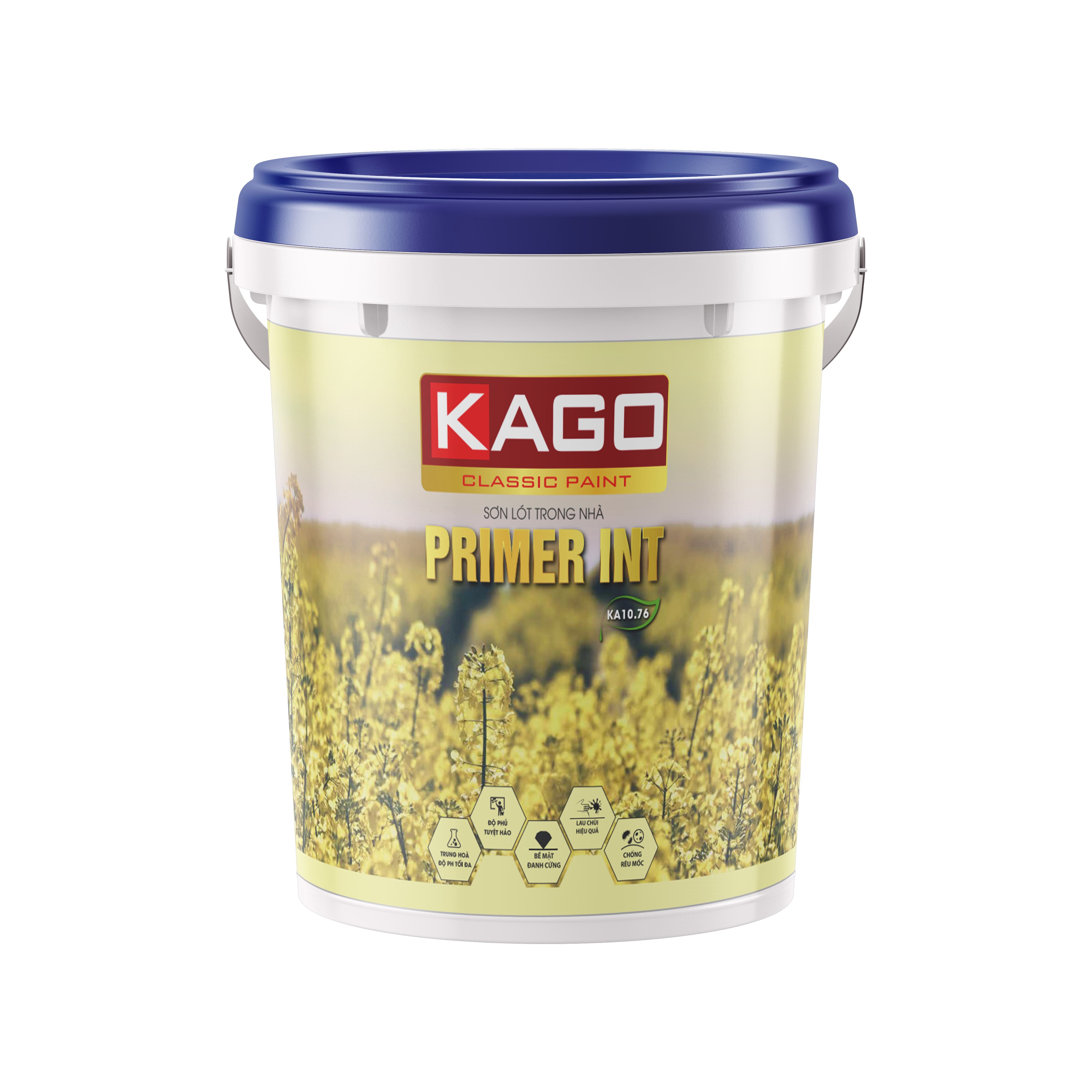 Sơn Lót trong nhà